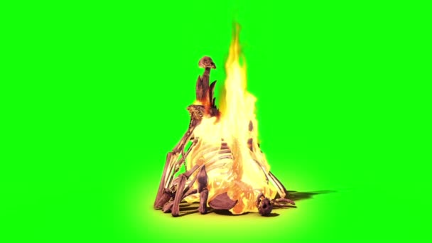 Brandende Schedel Stack Brand Groen Scherm Rendering Animatie — Stockvideo