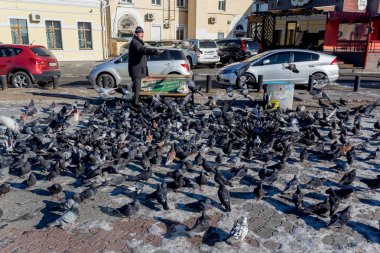 Rusya, Vladivostok, 12/29/2017. Bir adam güvercinler şehir şehir merkezinde besleniyor. Kuşlar bir şehirde. Çevre ve şehir ekolojisi.