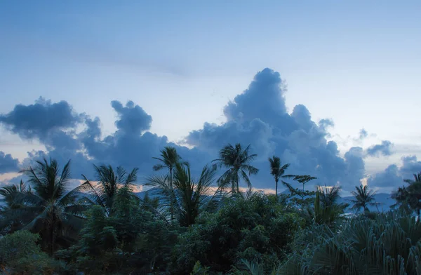Karanlıktan önce palmiye ağaçları ile günbatımı gökyüzü üzerinde şaşırtıcı bulut oluşumların güzel sahne