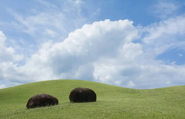 Yeşil alan ve şaşırtıcı bulutlar ve gökyüzü arka plan, sığ derinlik-in tarla eğrisi şekli ile iki taşı.
