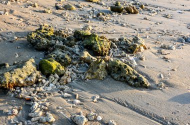 Düşük gelgit sırasında ışık ve gölge mercan resif göreceksiniz. Sahili'nde akşam
