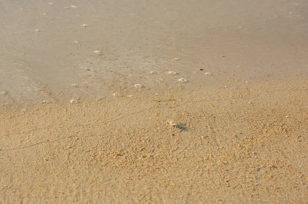 Gros plan des vagues sur la plage avec sable et petit crabe fantôme — Photo