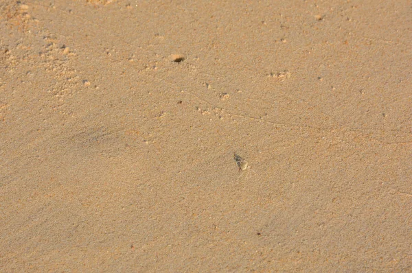 Güneş parlamayı ile sahilde kum.