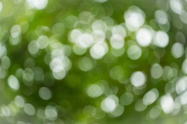 Ufuk yaprak yeşil arka plan