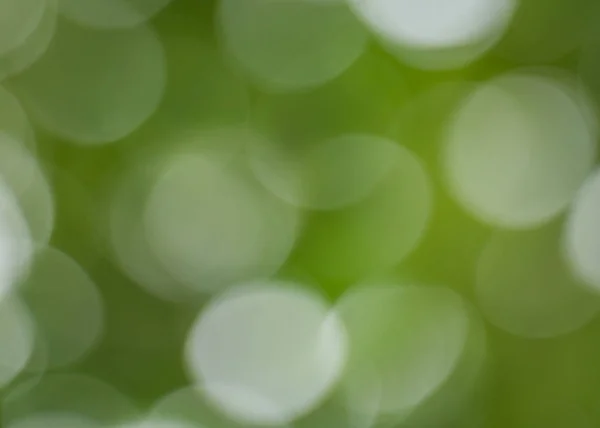 多重の緑の葉の背景 — ストック写真