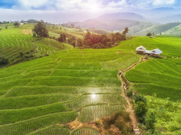 Terraço campo de arroz — Fotografia de Stock