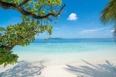 Plaj ön planda ağaçları ile