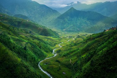 Teraslı pirinç alan de Mu Cang Chai, Vietnam
