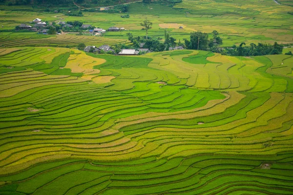 Campo de arroz em terraço em Mu Cang Chai, Vietnã — Fotografia de Stock