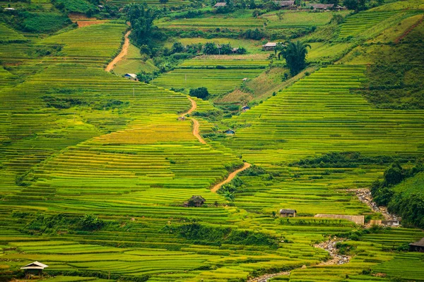 Терасових рисові поля в Mu Cang чай, В'єтнам — стокове фото