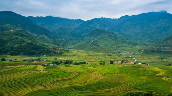 Campo de arroz em terraço em Mu Cang Chai, Vietnã — Fotografia de Stock