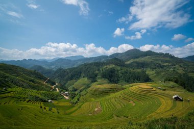 Teraslı pirinç alan de Mu Cang Chai, Vietnam