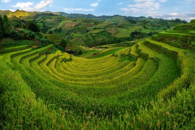 Teraslı pirinç alan de Mu Cang Chai, Vietnam