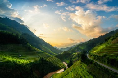 Teraslı pirinç alan de Mu Cang Chai, Vietnam