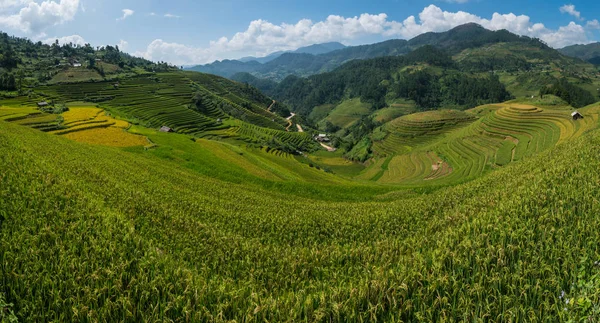 Campo de arroz em terraço em Mu Cang Chai, Vietnã — Fotografia de Stock