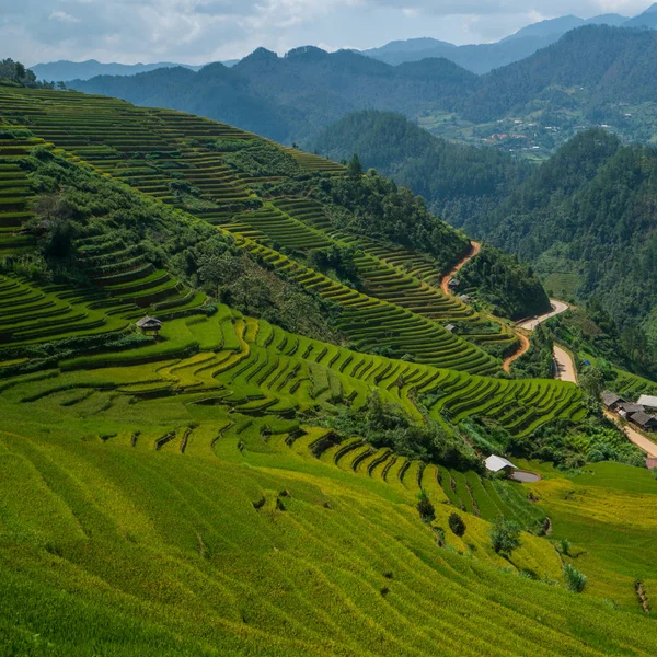 Campo de arroz em terraço em Mu Cang Chai, Vietnã — Fotografia de Stock