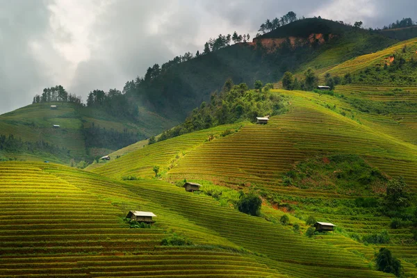 Campo di riso terrazzato a Mu Cang Chai, Vietnam — Foto Stock