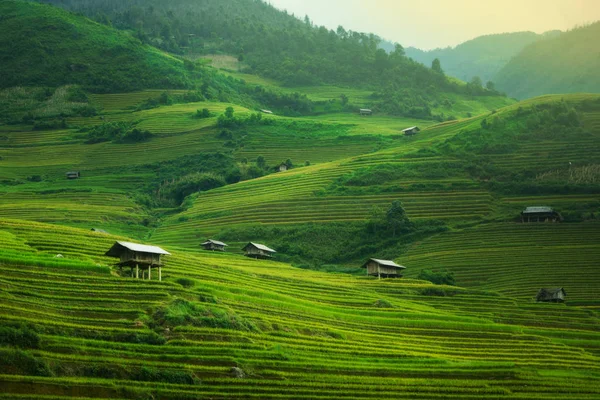 Teraslı pirinç alan de Mu Cang Chai, Vietnam — Stok fotoğraf