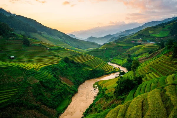 Campo de arroz em terraço em Mu Cang Chai, Vietnã — Fotografia de Stock