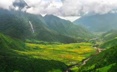 Teraslı pirinç alan de Mu Cang Chai, Vietnam