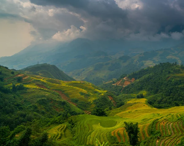 Campo de arroz com terraço em Sapa, Vietnã — Fotografia de Stock