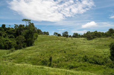 Panoramik dağ manzarası, Khao Yai, Tayland.