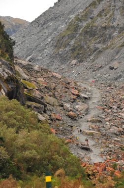 Giderken Fox glacier, Yeni Zelanda