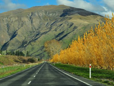 Road trip in New Zealand clipart