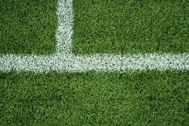 Beyaz çizgili suni çim