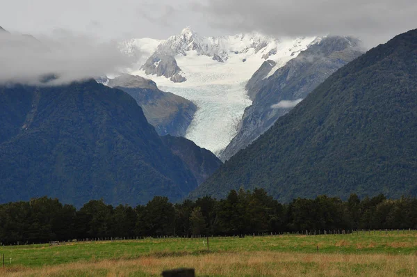 新西兰福克斯冰川 — 图库照片