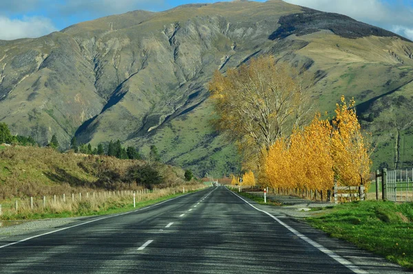 Viaggio in Nuova Zelanda — Foto Stock