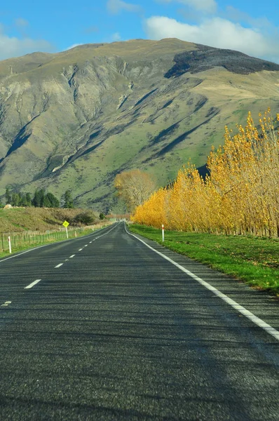 Viaggio in Nuova Zelanda — Foto Stock