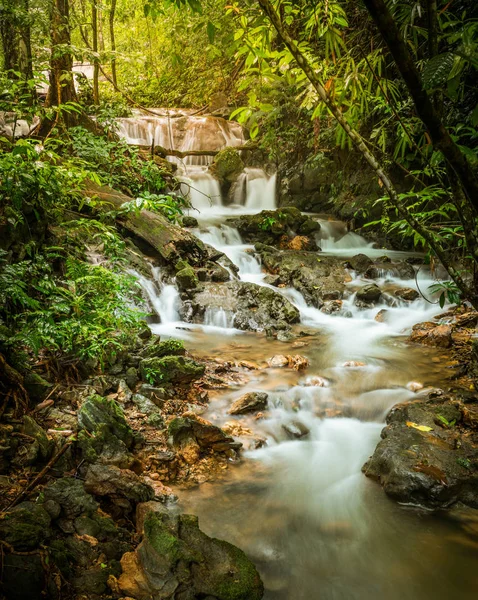 Vízesés mély trópusi dzsungelben. — Stock Fotó