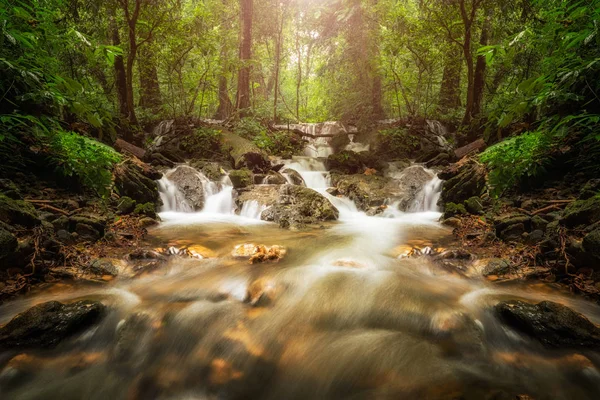 Водоспад у глибоких тропічних джунглях . — стокове фото