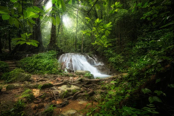 Waterfall in deep tropical jungle. — Stock Photo, Image