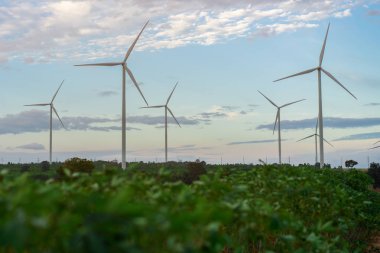 Rüzgar Türbini çiftliği, Rüzgar enerji kavramı.