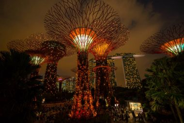 Singapur gece manzarası Gardens Bay tarafından