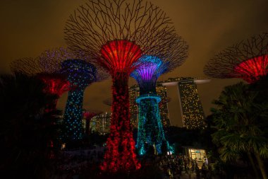 Singapur gece manzarası Gardens Bay tarafından