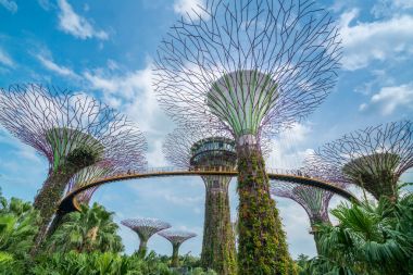 Körfez Bahçe Singapur Supertrees