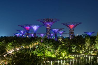 Singapur gece manzarası Gardens Bay tarafından