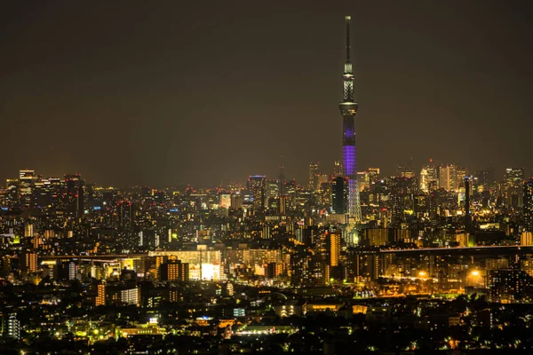 Tokyo Sky Tree met Tokio Cityscape — Stockfoto