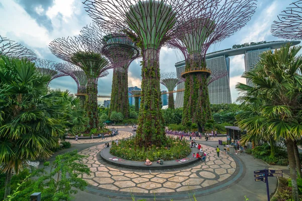 Supertree Grove in Gardens lahden rannalla, Singapore — kuvapankkivalokuva