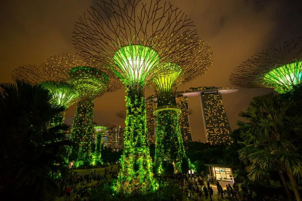 Panoramę Singapuru noc w ogrodach nad zatoką — Zdjęcie stockowe