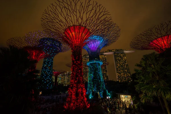 Panoramę Singapuru noc w ogrodach nad zatoką — Zdjęcie stockowe