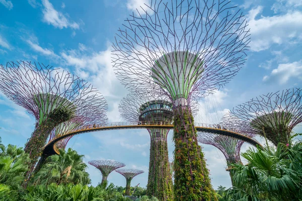 Singapur Superárboles en el jardín junto a la bahía — Foto de Stock