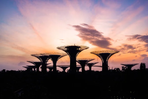 Hermoso amanecer en Gardens by the Bay en Singapur — Foto de Stock