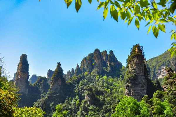 Pilar de piedra arenisca de cuarzo en Zhangjiajie en China — Foto de Stock