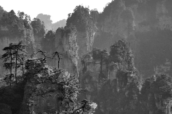在中国的张家界石英砂岩柱 — 图库照片