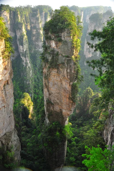 Кварцових пісковиків опорою в Zhangjiajie в Китаї — стокове фото