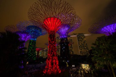 Singapur gece manzarası Gardens Bay tarafından